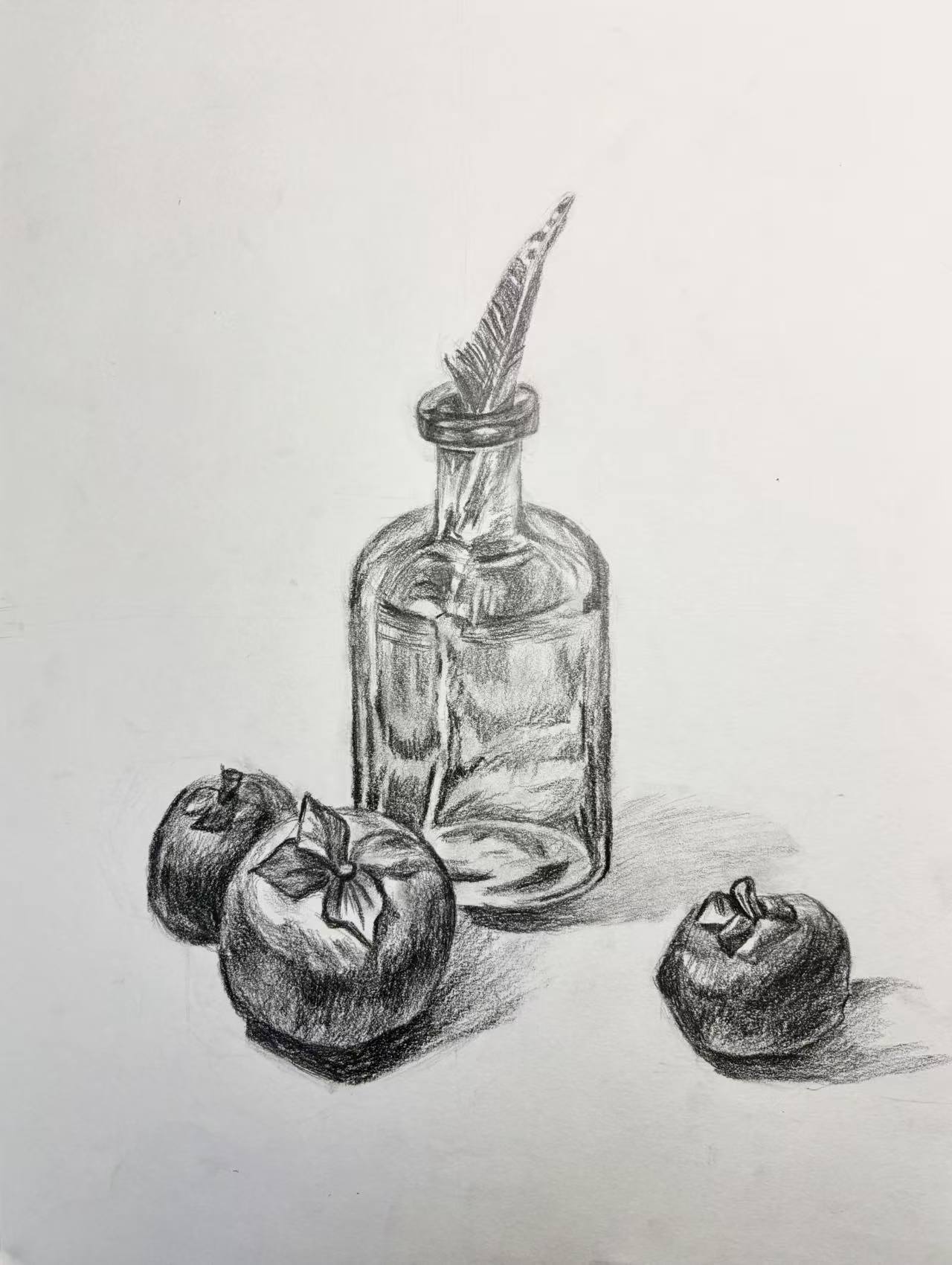 Still Life with Bottle and Persimmons — graphite