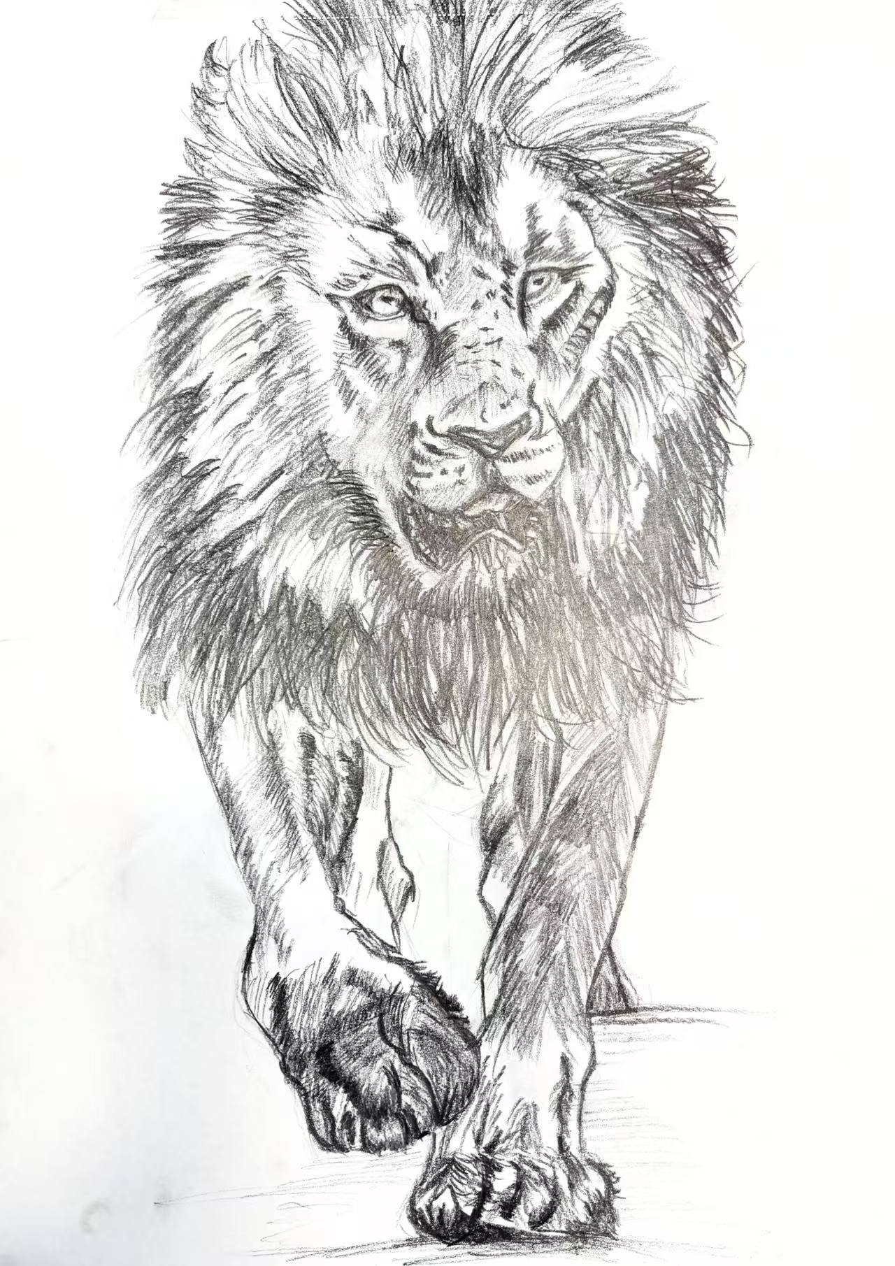 Walking Lion — graphite