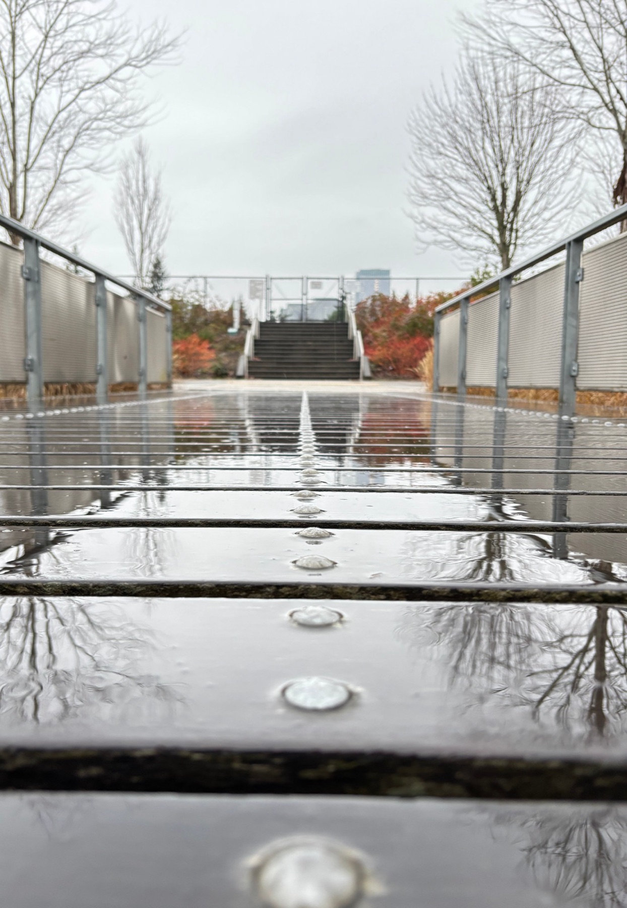Rain on the footbridge