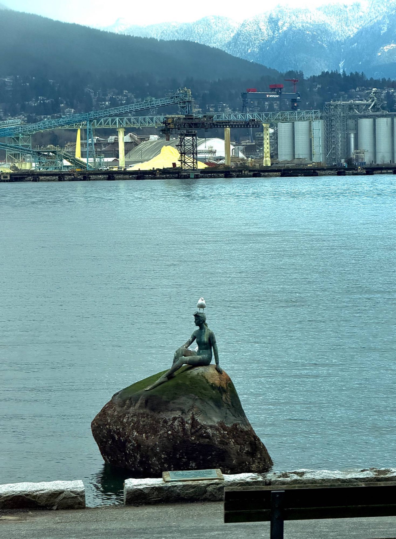 Girl in a Wetsuit, with company — Vancouver