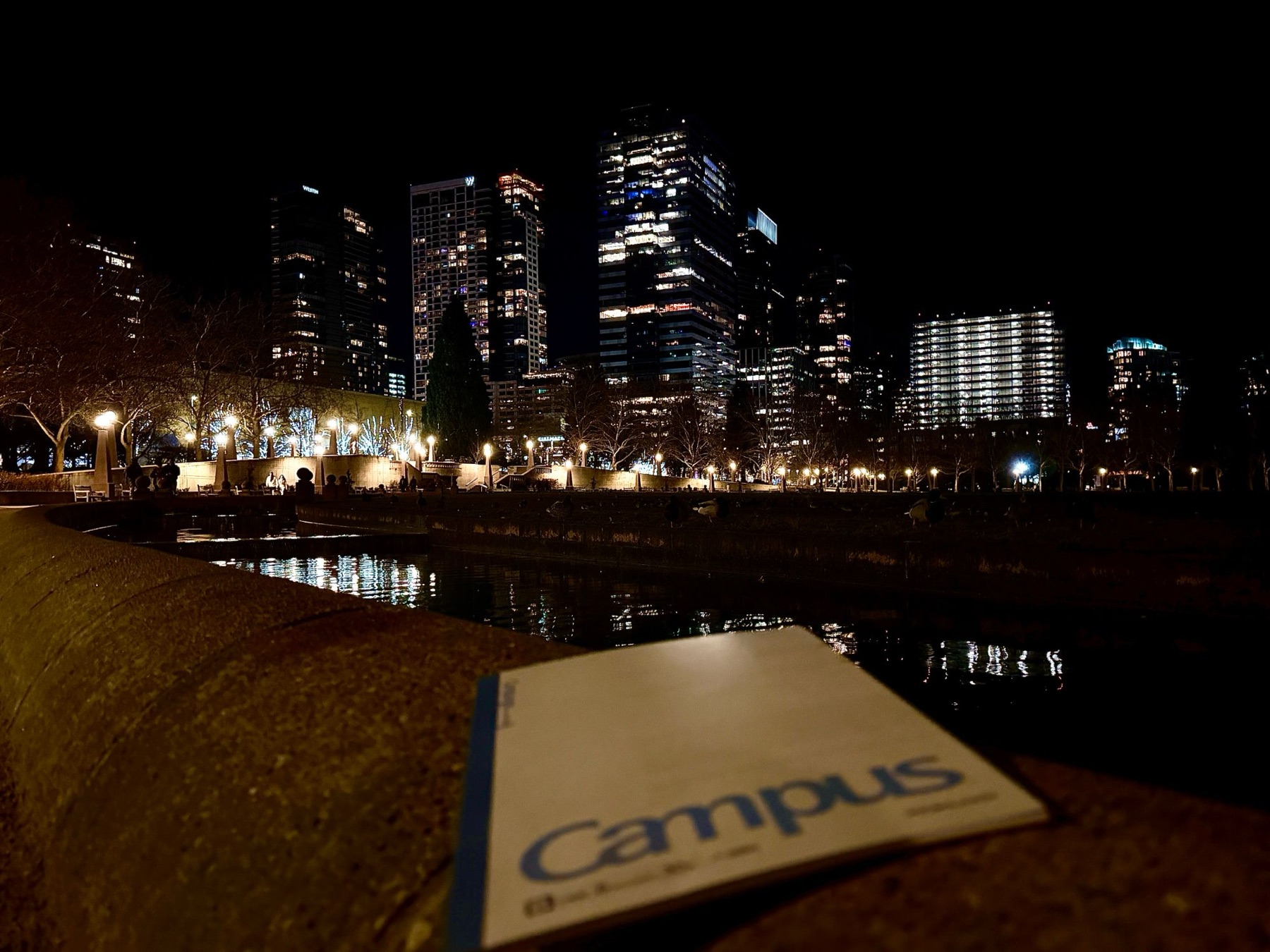 Downtown Bellevue from the park, notebook in hand