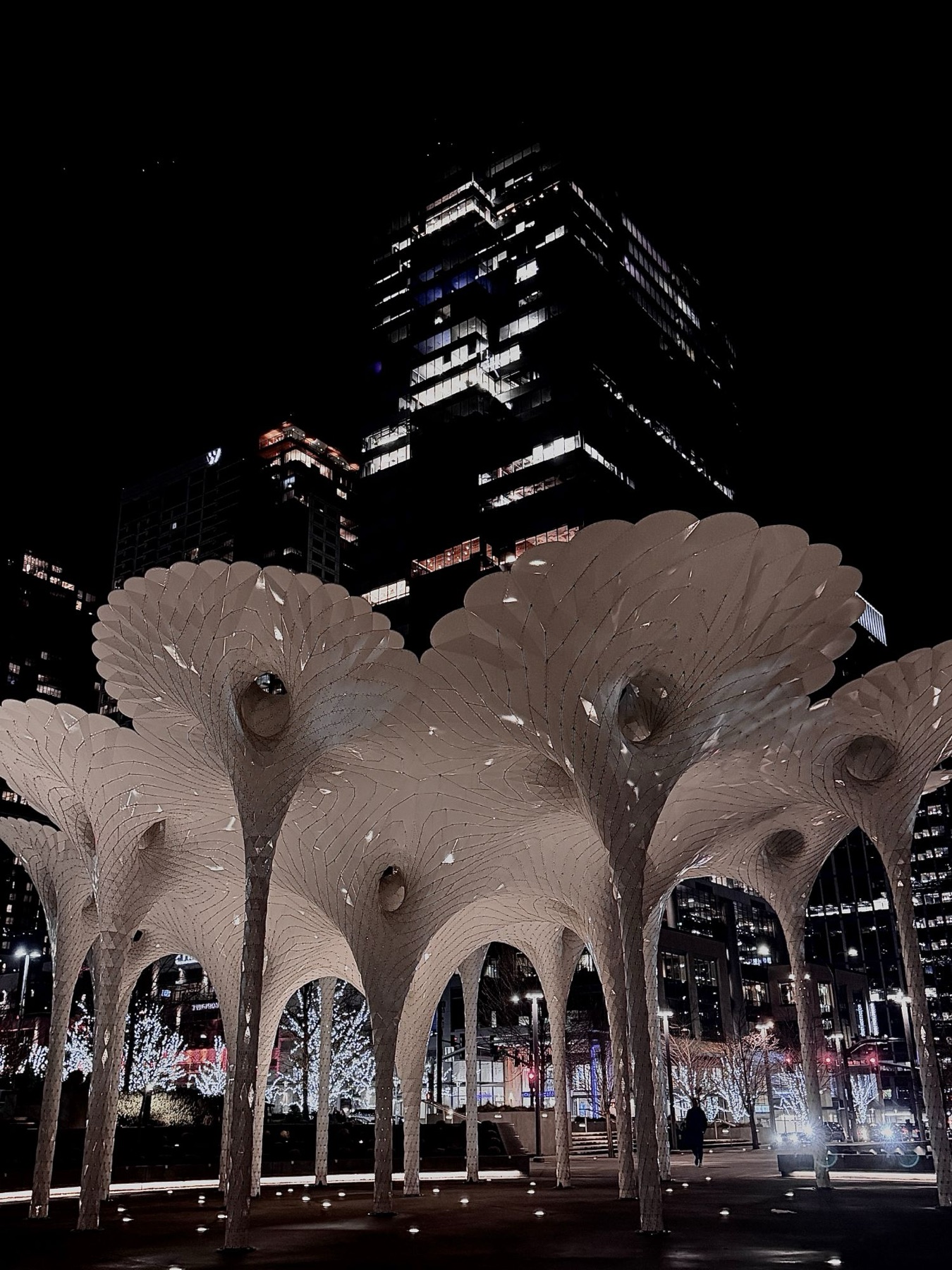 Canopy sculpture at night — Bellevue Downtown Park