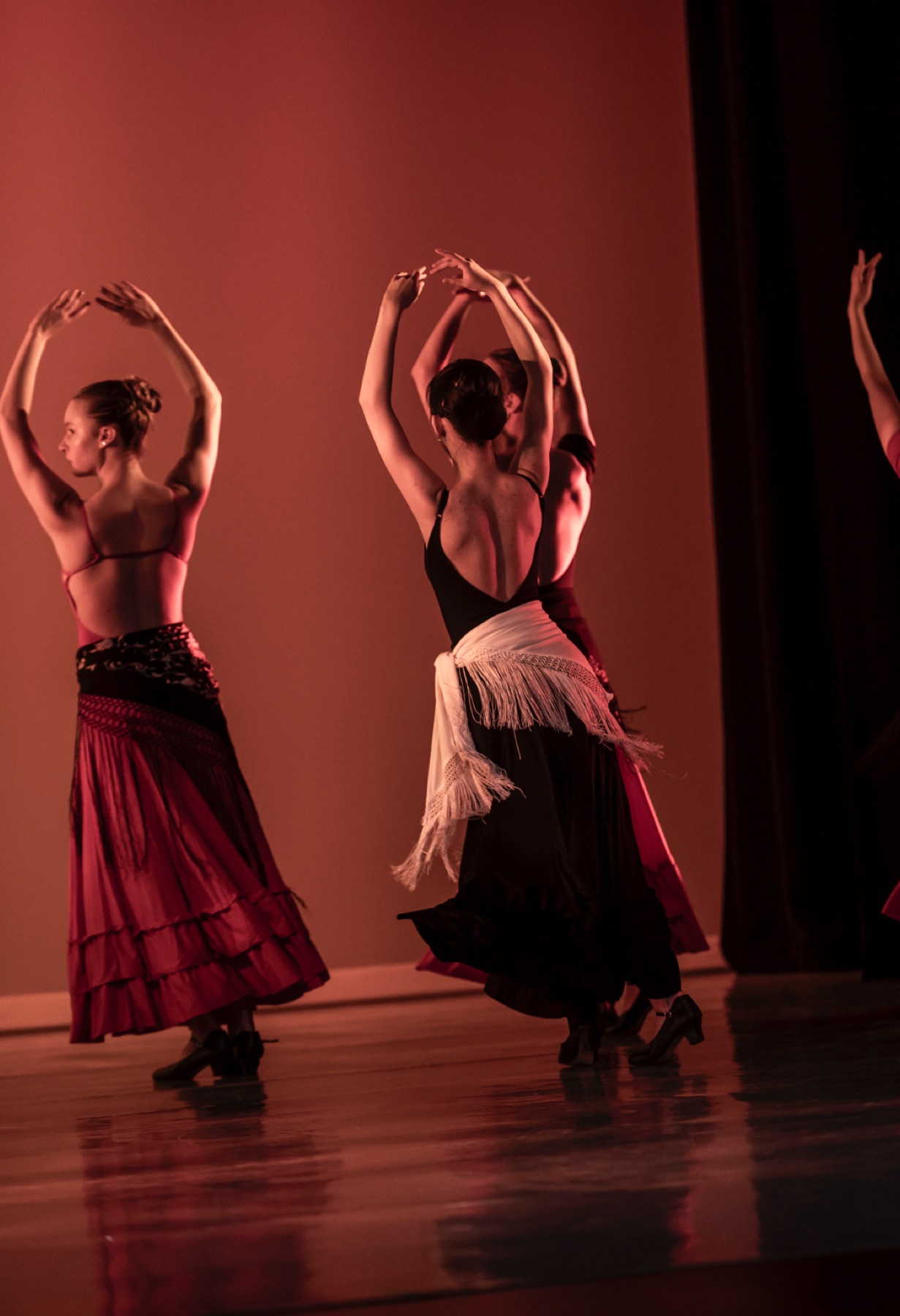 Flamenco (photo 1)