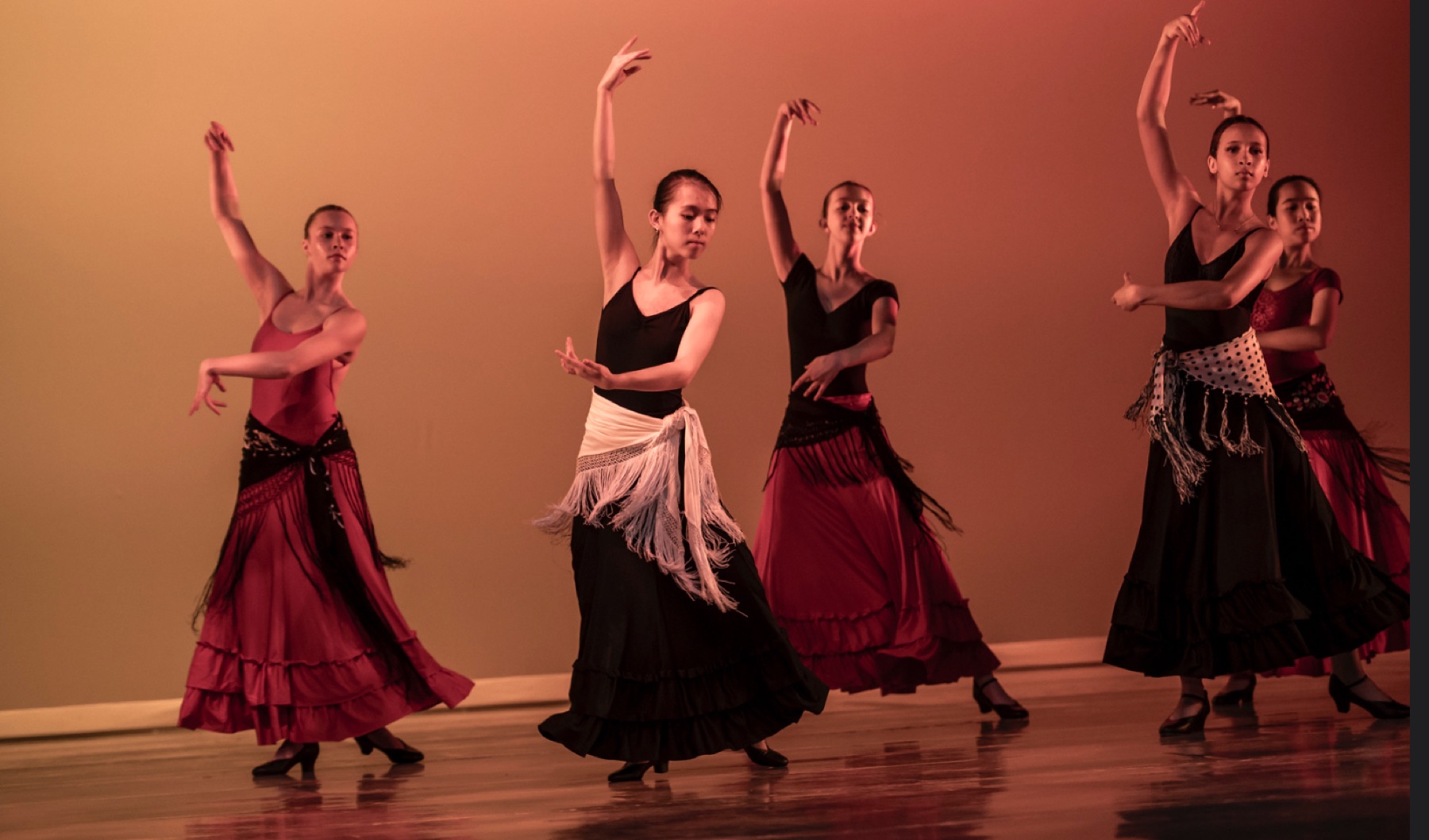 Flamenco (photo 2)