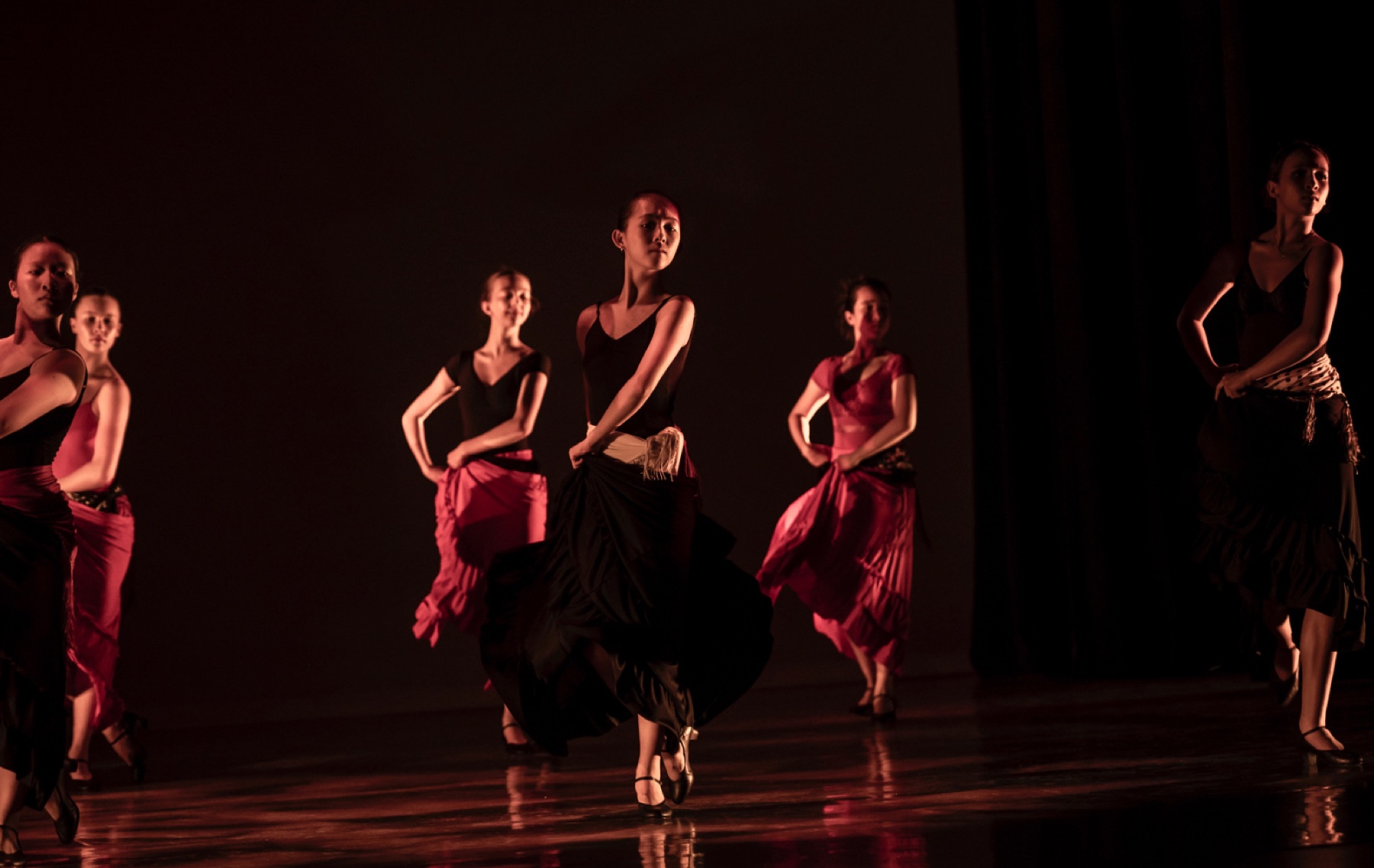 Flamenco (photo 3)
